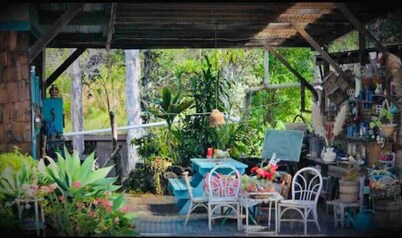 Ohana house Nature Retreat that is family and pet friendly.
