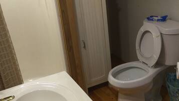 Hair dryer, towels, soap, toilet paper