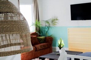 Televisor intel·ligent, llar de foc i llibres 