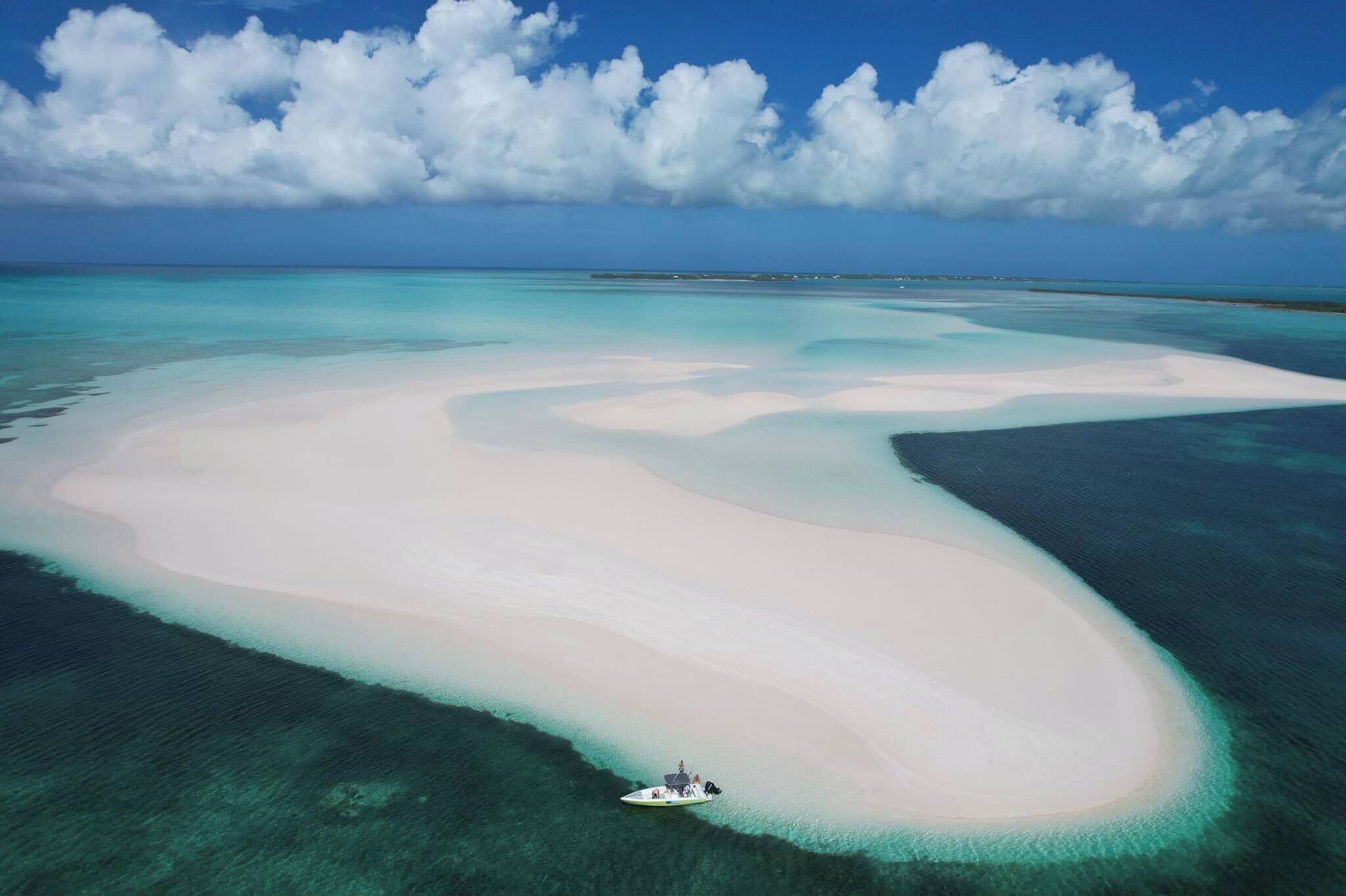 Enjoy our sandbar in the middle of the ocean - find sand dollars and starfish!
