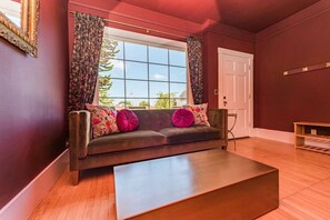 Smart TV, fireplace, books