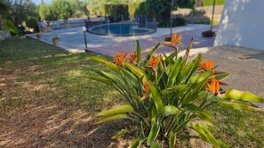 Property grounds - Luxury Villa with Swimming Pool & Gorgeous Views (Sa Cabaneta)