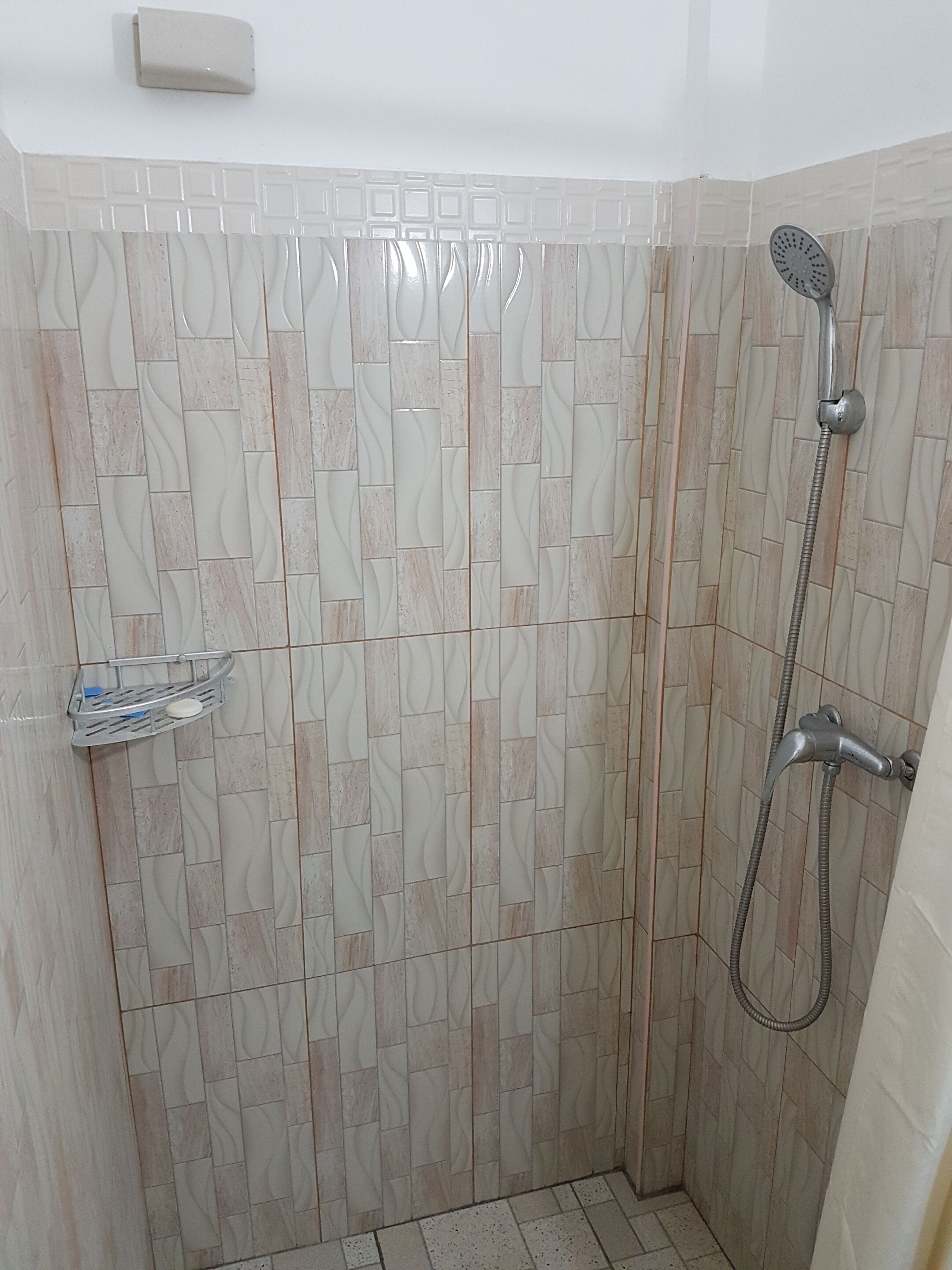 A shower area with a tiled wall, a handheld showerhead, and a soap dish.