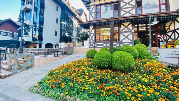 Ein Gebäude mit moderner Glasfassade, einem traditionellen Fachwerkkonstrukt und einem Blumenbeet mit gelben und orangefarbenen Blumen.