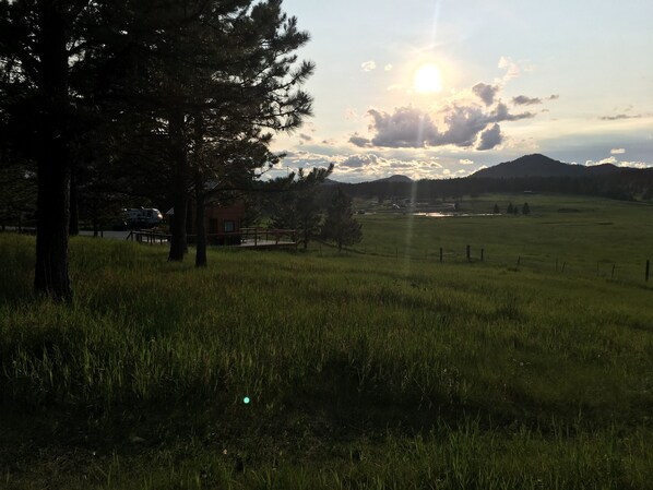 Property grounds