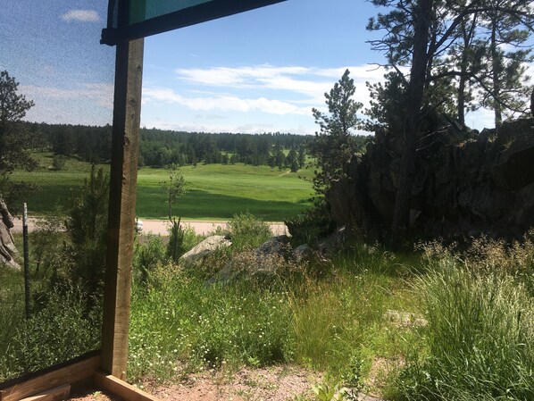 View from property - Parking for a camper , motorhome, not for a huge size. Water can be connected (Custer)