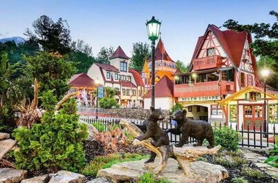 River Tubing, Hot Tub, Golfcourse, Pool, Pet Friendly, Helen, Innsbruck,