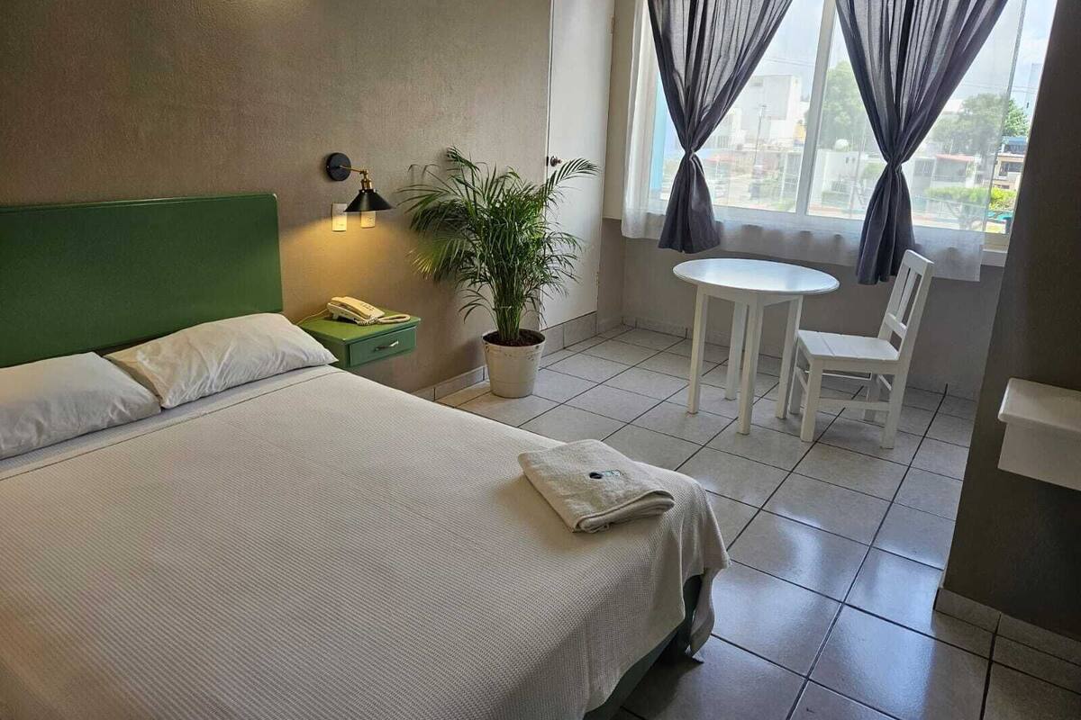 A hotel room with a bed, a small table with a chair, a potted plant, and a window with curtains.