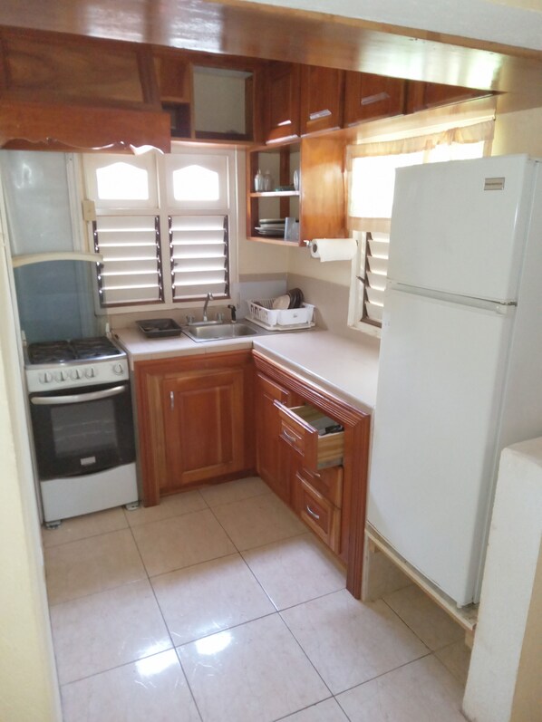 Fridge, stovetop, electric kettle, toaster - Very functional home 5 minutes drive to the world's famous Negril 7miles Beach (Negril)