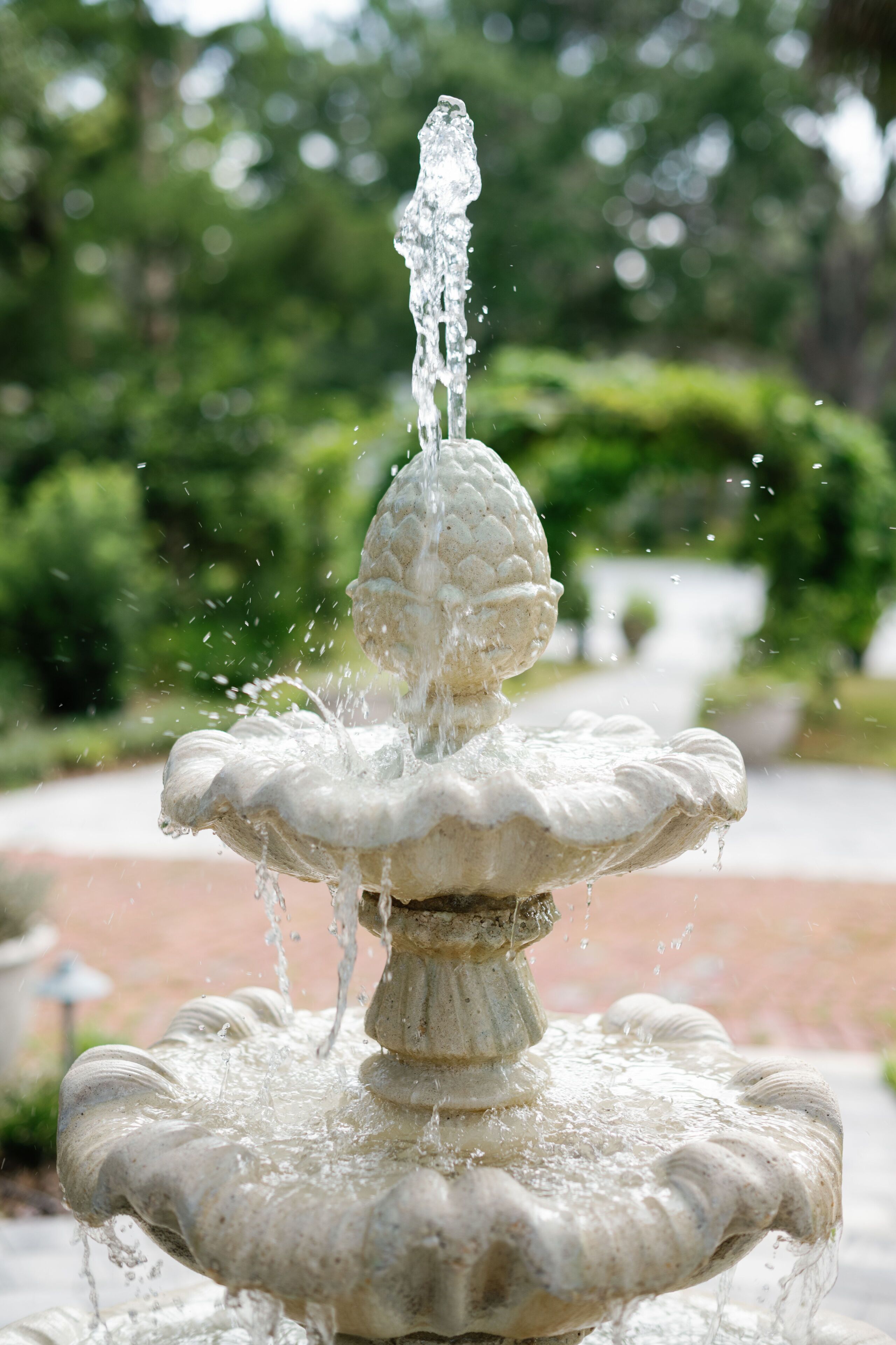 Une fontaine en pierre dont l’eau jaillit du centre, entourée de verdure.
