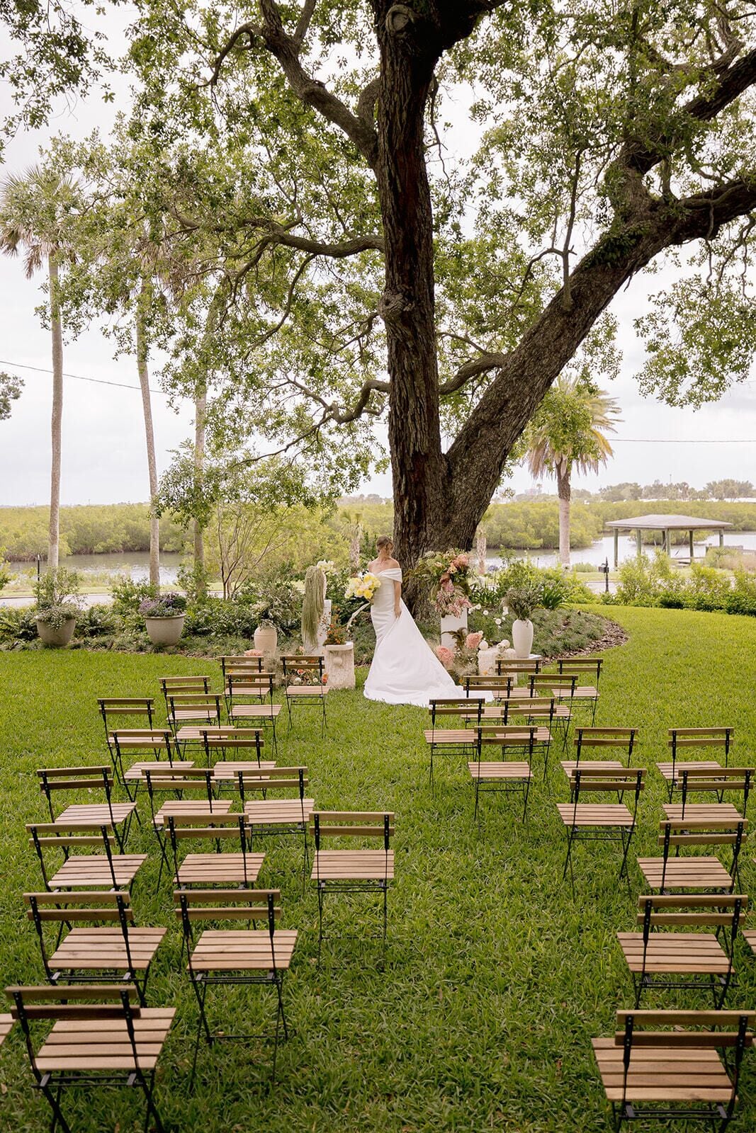 Montaje de ceremonia de boda con sillas dispuestas en semicírculo bajo un gran árbol.
