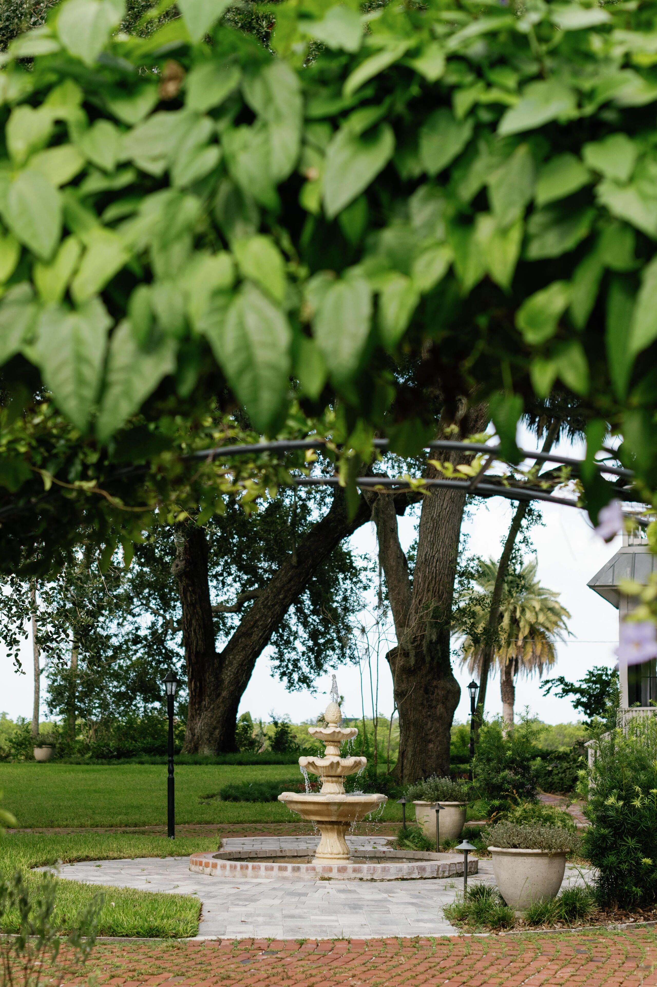 Um jardim com uma fonte central, rodeado por árvores e plantas em vasos.