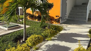 A modern building with a bright orange exterior, a concrete pathway, and a small palm tree. - 13 minutes away from quinta avenida (Q.R.)