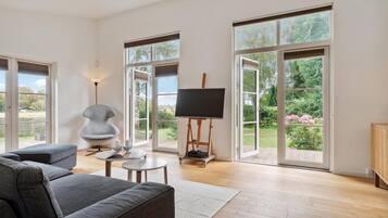 Smart TV, fireplace