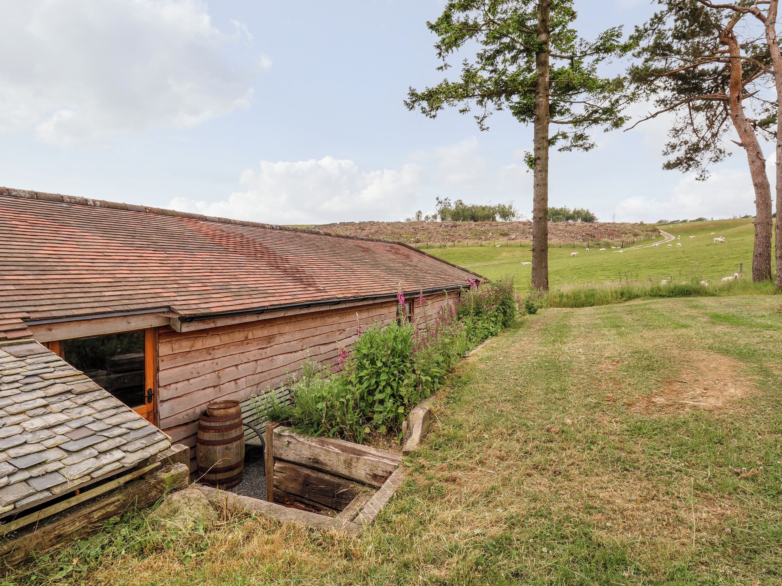 A rustic wooden building with a sloped roof, a small window, and a barrel near the entrance.
