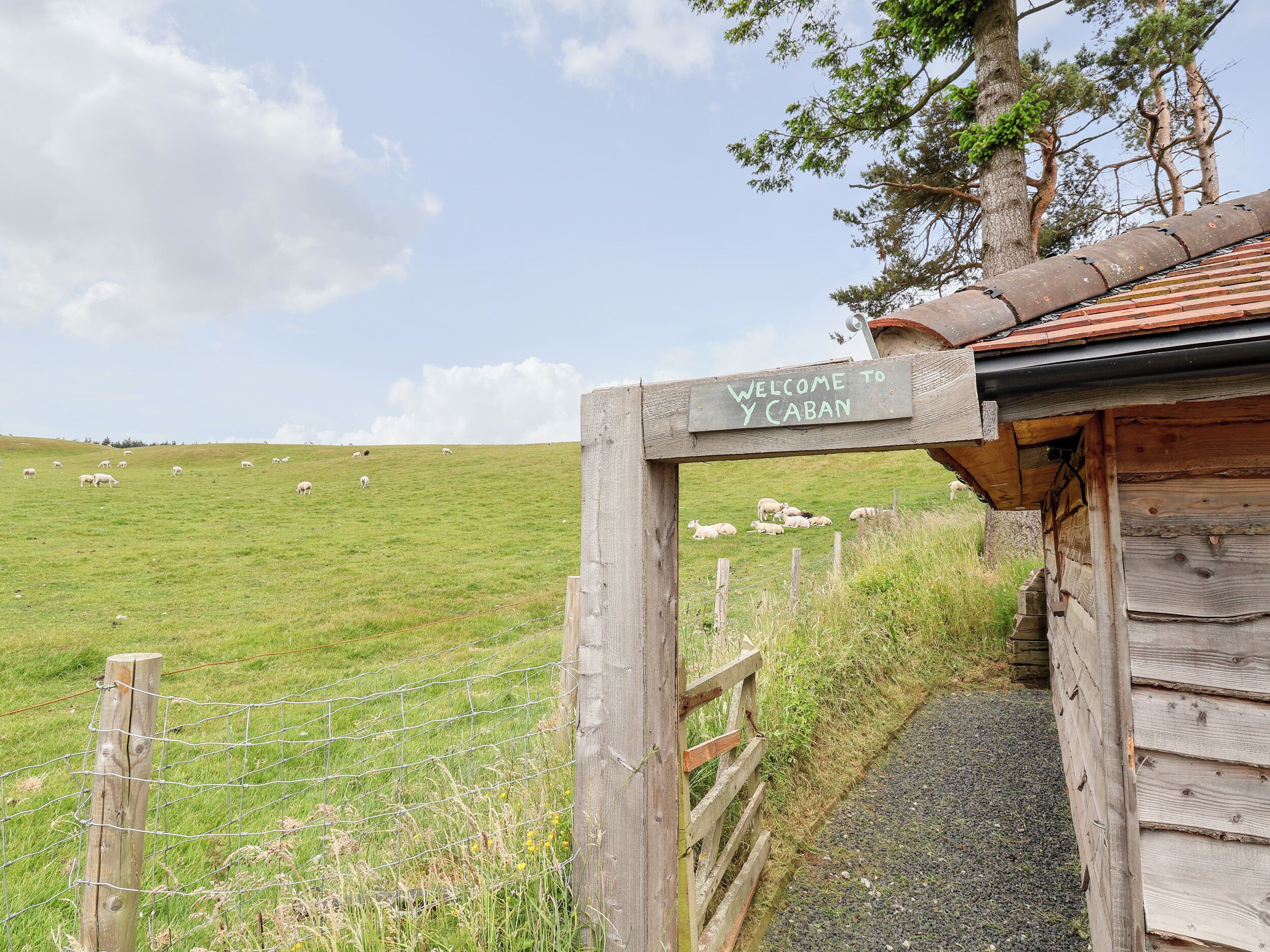 A wooden cabin entrance with a sign reading "Welcome to Y Caban" and a view of a grassy field with sheep.