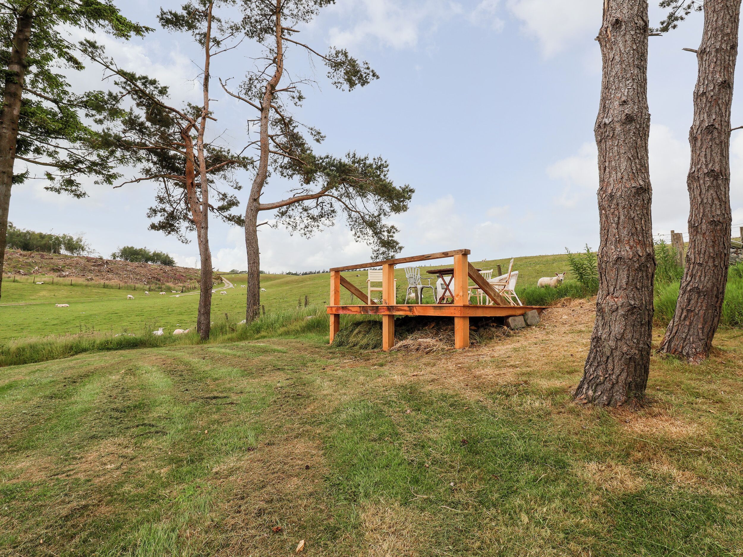 A rustic wooden structure in a grassy field with trees, likely a picnic or seating area.