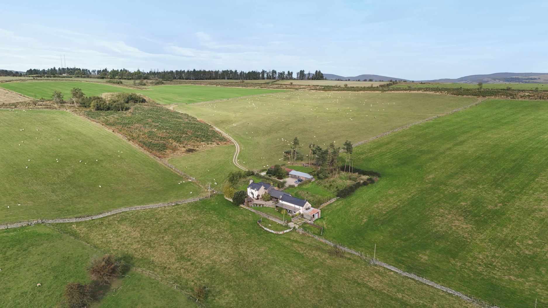 A rural landscape with a farmhouse surrounded by fields and a winding road.