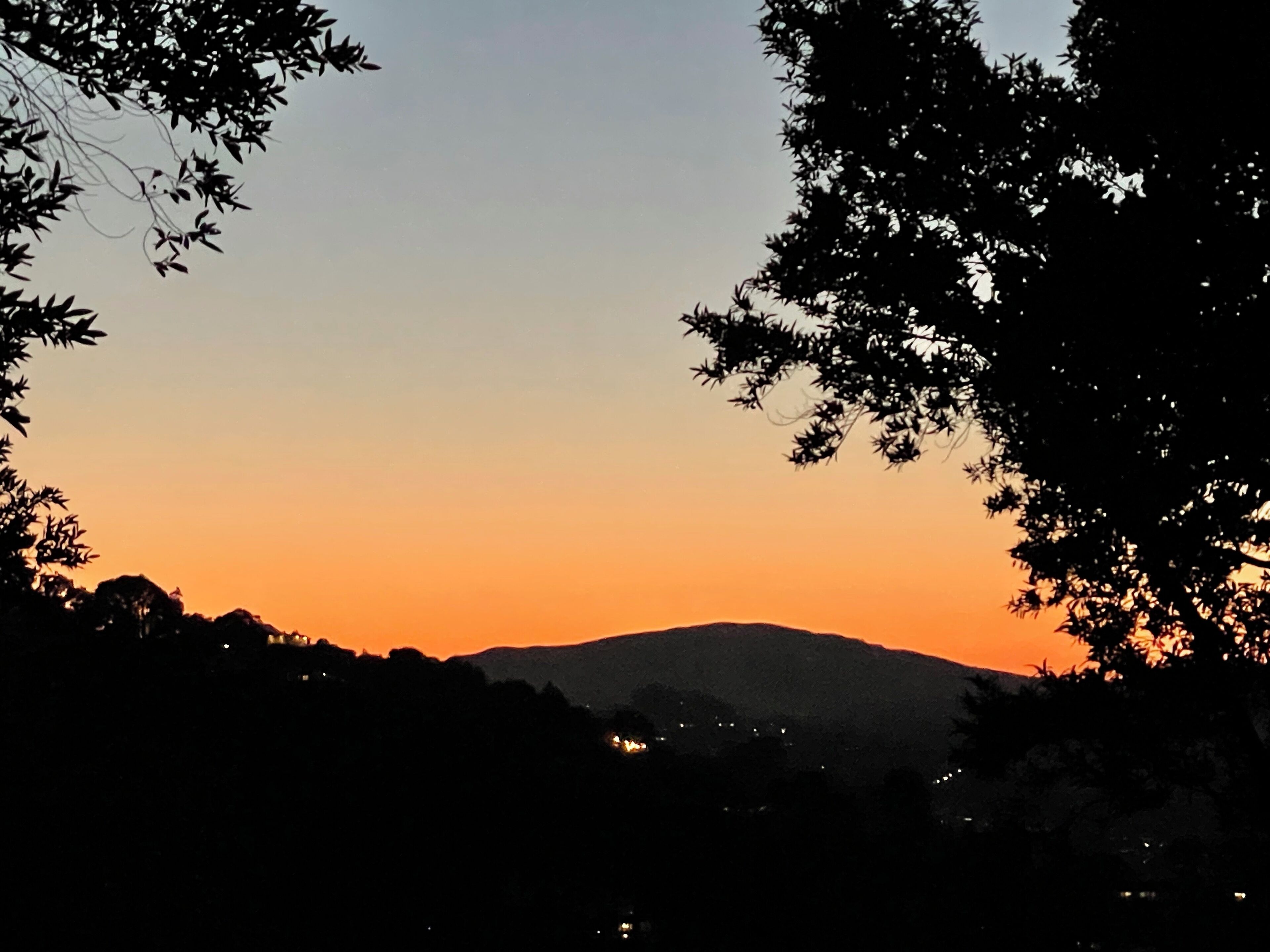 A silhouette of a mountain range against a sunset sky, framed by tree branches.