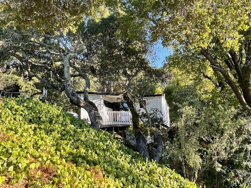 Hillside Oasis between San Francisco & Napa. Big Views + Pool!