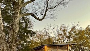 Une cabane en bois avec un escalier menant à une terrasse, entourée d’arbres et recouverte d’une épaisse couche de paillis.