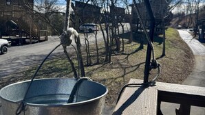 A metal bucket on a wooden surface with a pulley system above it, set against a backdrop of leafless trees and a clear sky. - Family Adventure Treehouse | 20-ft Slide + Secret Beds | Sleeps 6 | Smoky Mtns (Sevierville)
