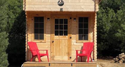 Bunkie in Forest - Winter Stays Available