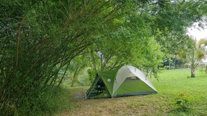 Uma tenda verde montada em área gramada, rodeada por vegetação densa.