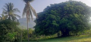 Exterior - Arboreto Camping (Santa María Huatulco)