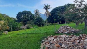 Um campo verde exuberante com um monte de rochas em primeiro plano e diversas árvores ao fundo.