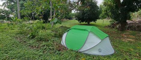 A green and white tent set up in a grassy area with trees in the background.