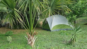 Exterior - Arboreto Camping (Santa María Huatulco)