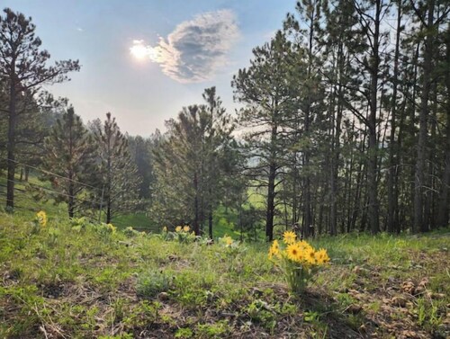 Experience the West at Home on the Range