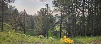 Experience the West at Home on the Range