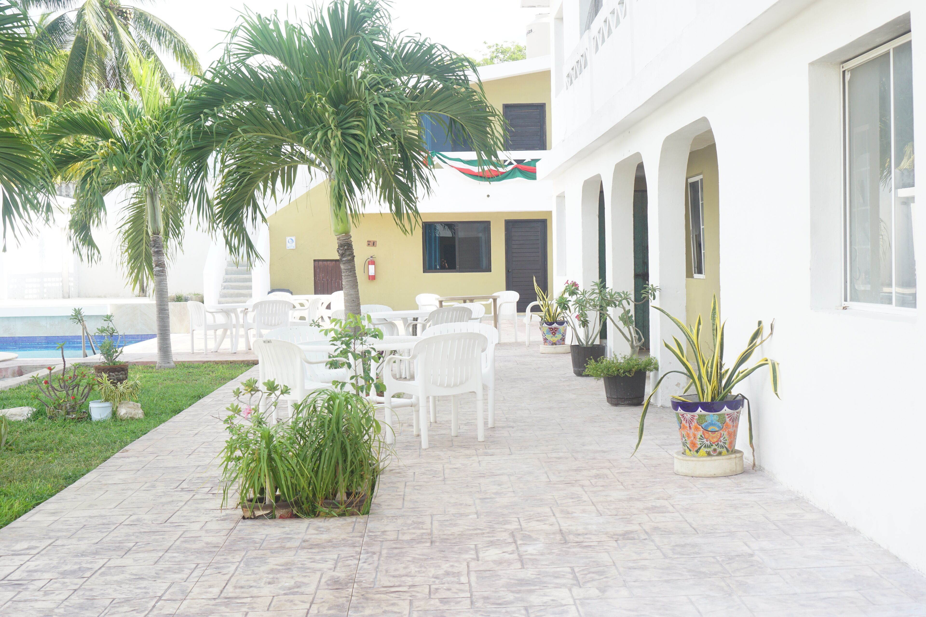 A courtyard with white chairs and tables, palm trees, and potted plants.