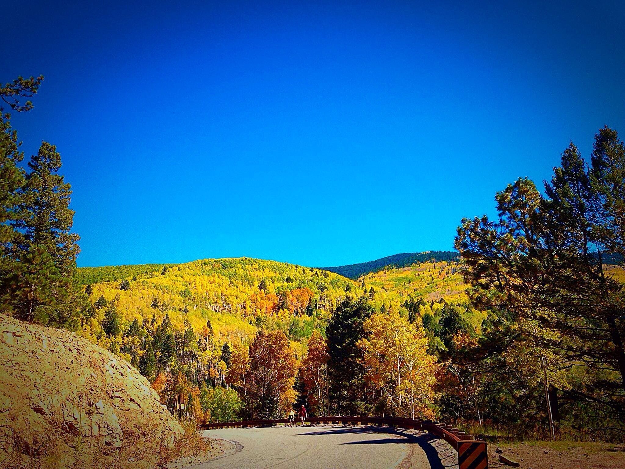 Foto - Quality Inn Santa Fe New Mexico