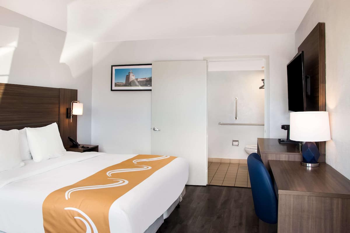 Une chambre d’hôtel comprenant un lit, un bureau, une chaise, une télévision, une salle de bain avec douche et un tableau au mur.