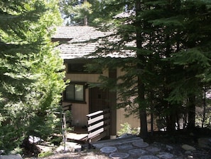 A cabin with a wooden staircase leading to a door, surrounded by dense forest. - Chamberlands Beach Home (Homewood)