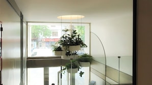Ein modernes Interieur mit einer hängenden Pflanzenarragement, einer Glastrennwand und Blick auf die Straße.