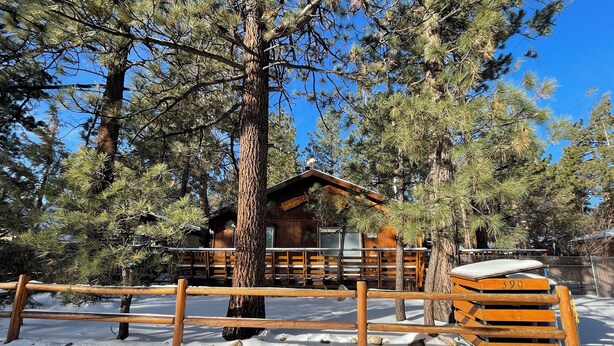 A cabin surrounded by tall pine trees with a wooden fence in front. - Irie's Retreat (Sugarloaf)