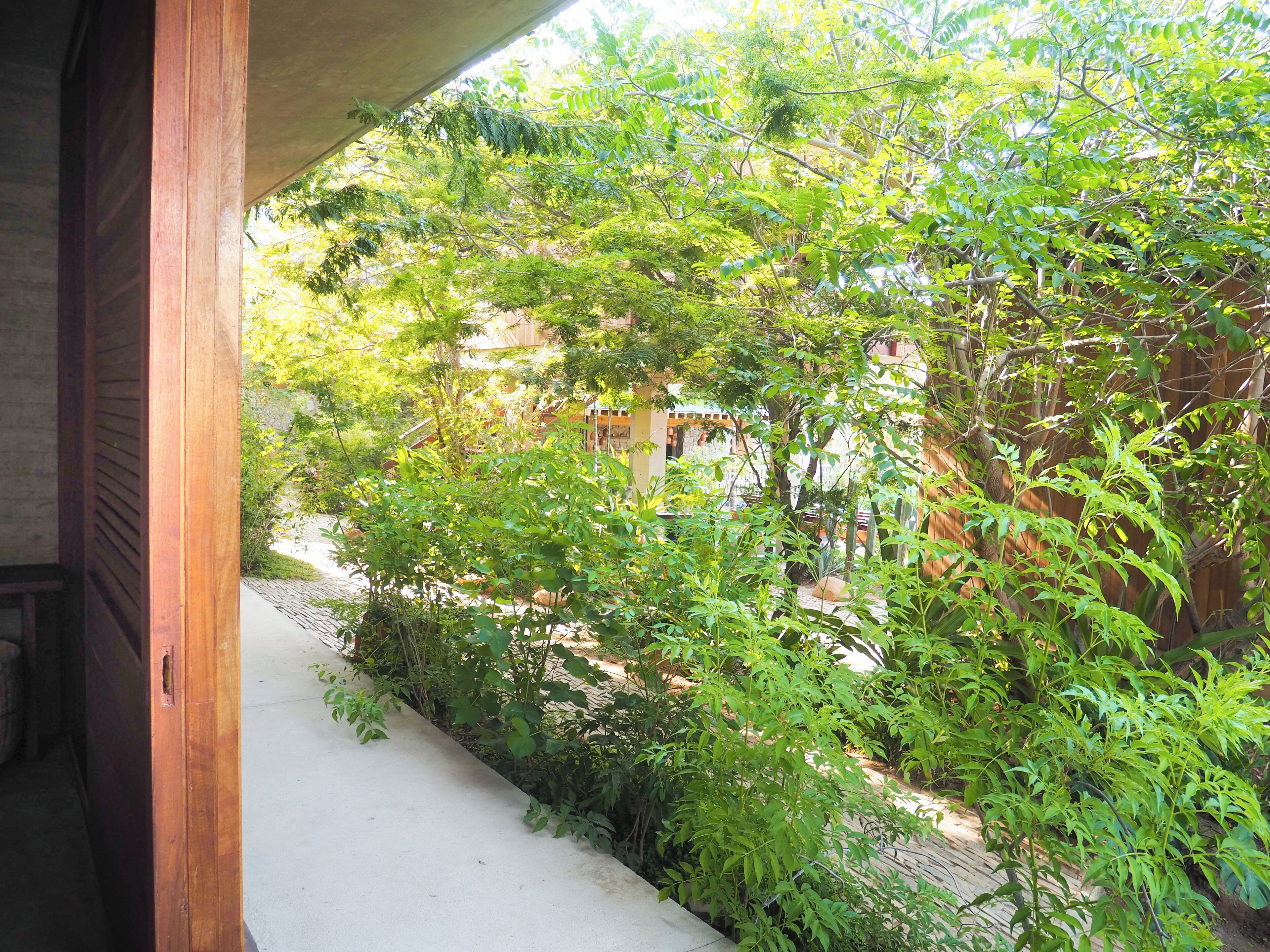 Un sendero atraviesa un exuberante jardín con abundante vegetación y una estructura de madera a la izquierda.