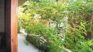 Un sendero atraviesa un exuberante jardín con abundante vegetación y una estructura de madera a la izquierda.