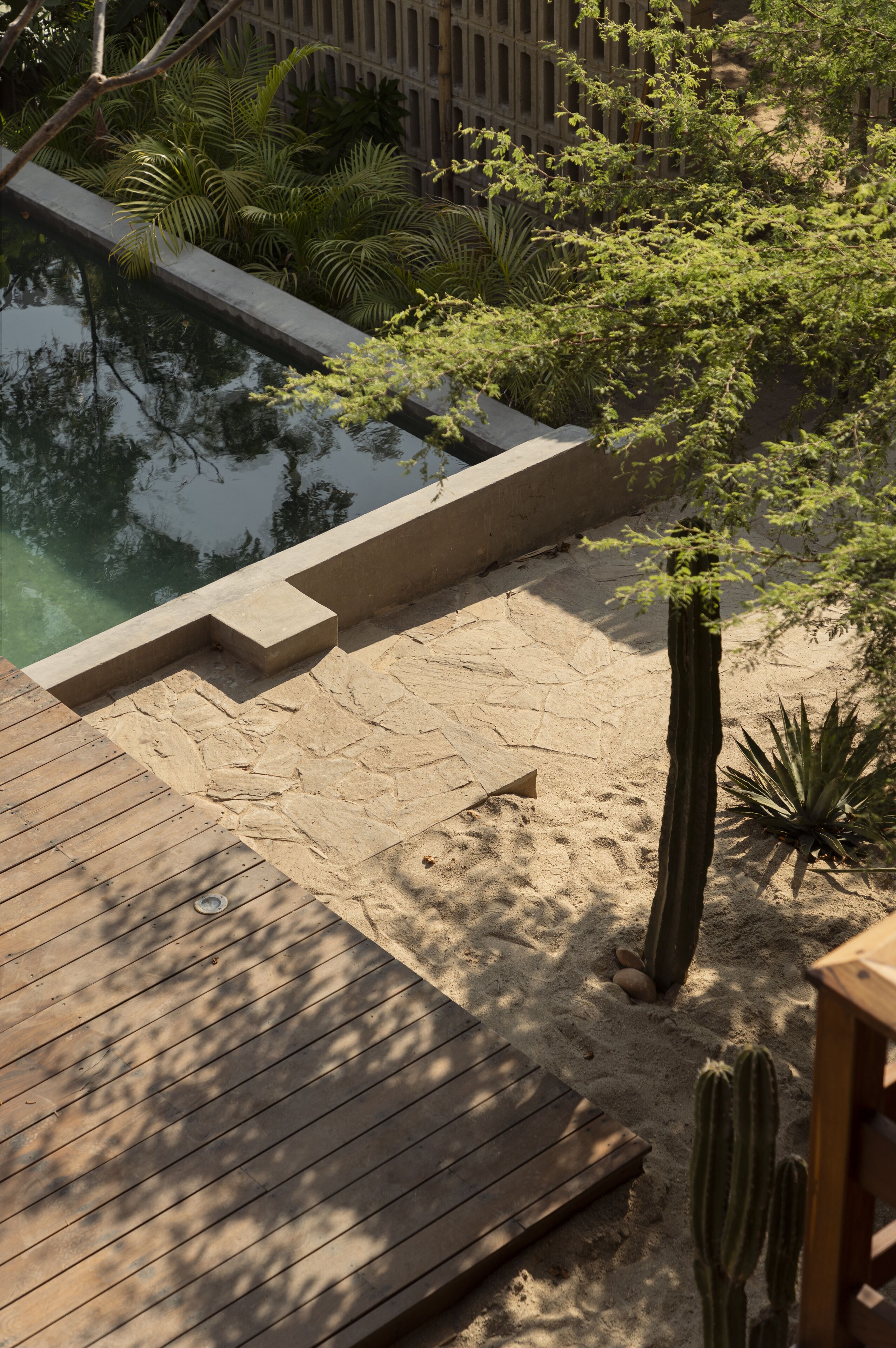 Ein Poolbereich mit Holzterrasse, umgeben von Sand und Kakteen.