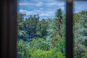 Unclassified image, 4 of 23, button - Fewo1846 - Am Walfischstein - Fewo1846 - Am Walfischstein - Strandnahe 2-zimmer Wohnung mit Blick (Westerholz)