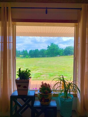 Interior - Charming Home with Country Views (Grafton)