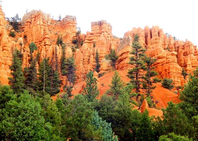 LUXURY RIVERFRONT RETREAT: PET FRIENDLY: BRYCE / ZION, RAFTING, FISHING, HIKING