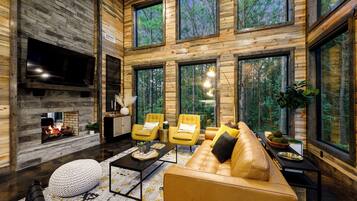 Smart TV, fireplace, books