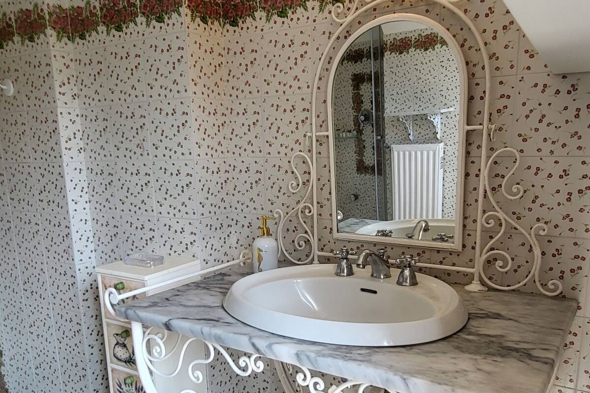 Deluxe kamer | Badkamer | Een douche, designer toiletartikelen, een haardroger, een bidet