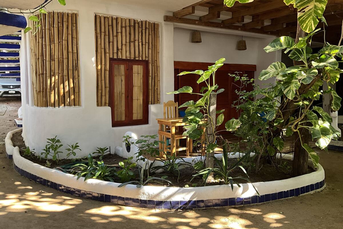 A house with a garden, a wooden chair, and a large plant.