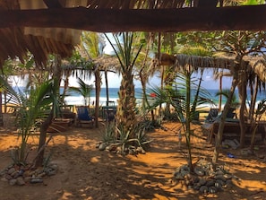 Exterior - BAMBU Ecocabanas (Santa María Tonameca)